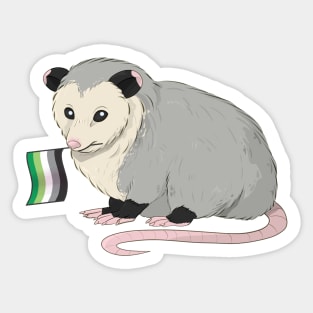 Aromatic Pride Opossum Sticker